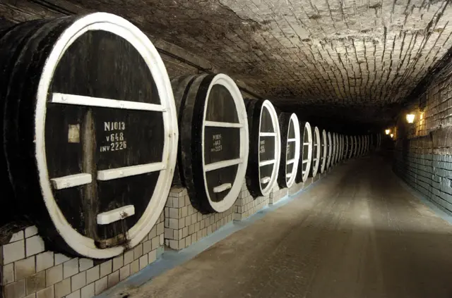 Cellar