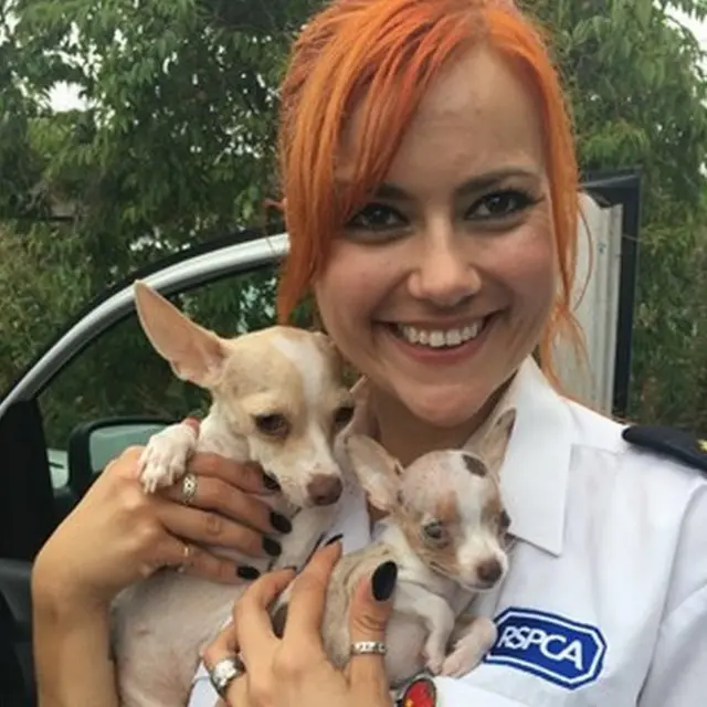 RSPCA inspector Marie Hammerton and the dogs