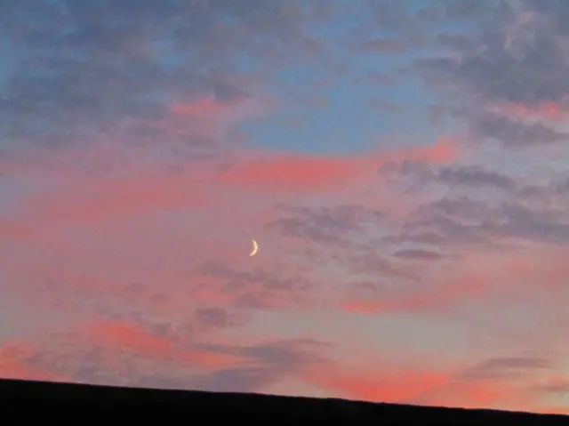 Moon with pink and purple sky