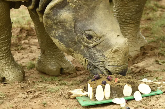 Bali eats birthday cake