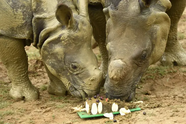 Bali and mum Behan eat cake