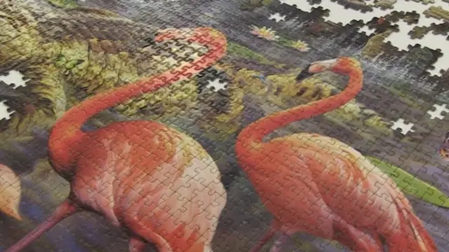 Jigsaw detail flamingoes