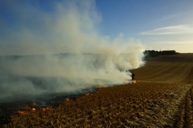 Luton field fire