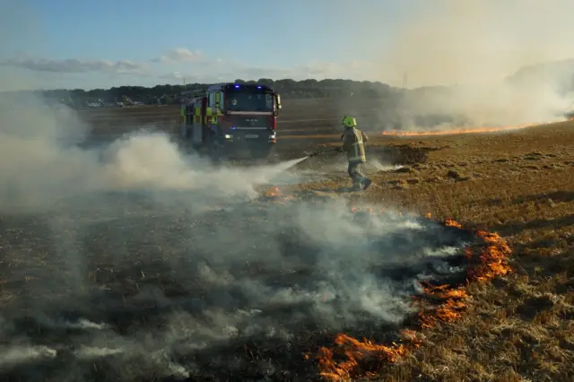 Luton field fire