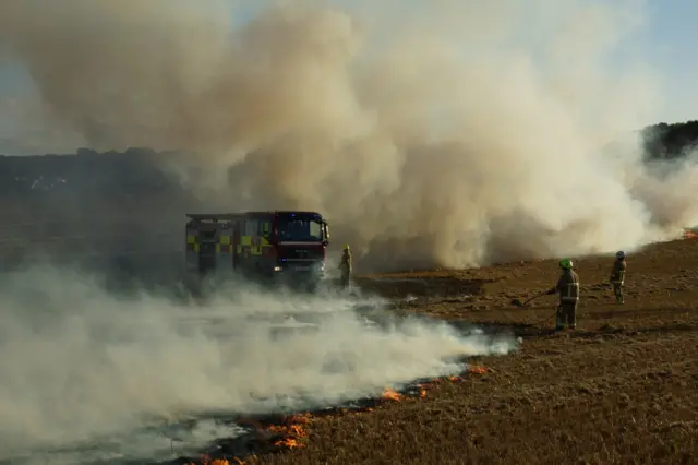 Luton field fire