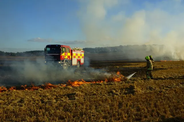 Luton field fire