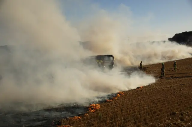 Field fire