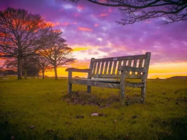 A bench on Beverley Westwood with yellow and purple skies behind it