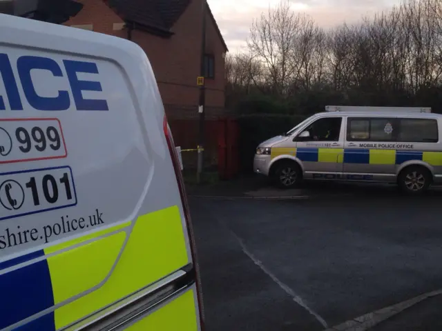 Police vehicles at scene