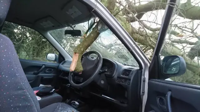 Branch through windscreen