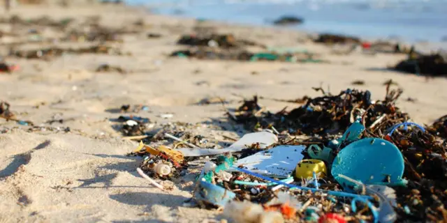 Litter on a beach