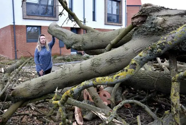 Vanessa O'Connor and the fallen tree