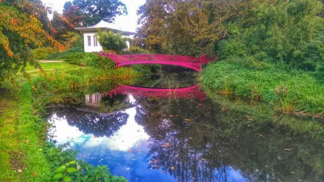 A walk at Shugborough , Great Haywood