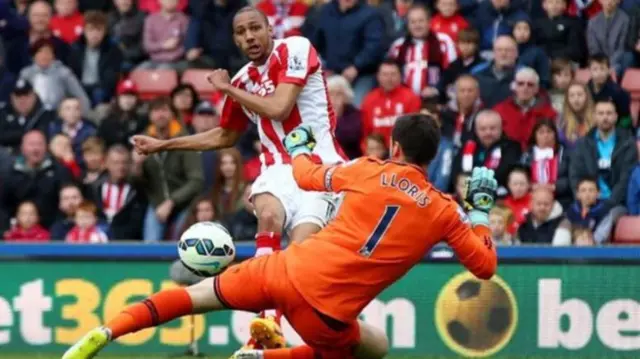 Steven N'Zonzi in action for Stoke City