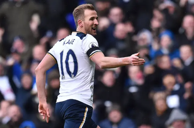 Harry Kane celebrates