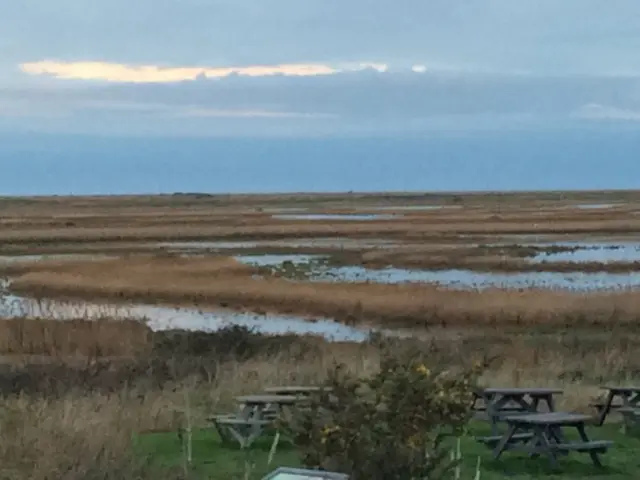 Flooded Cley marshes, showing the reed beds and a picnic area