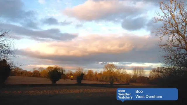 Late afternoon rural scene