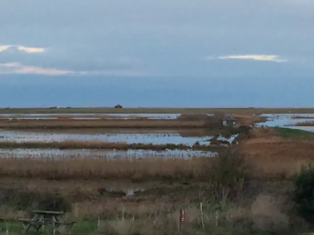 Flooded reed beds