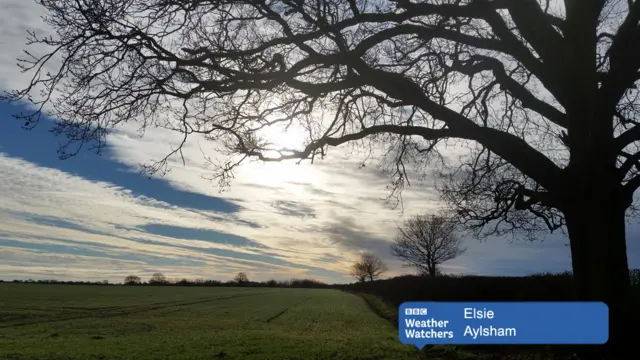 Open farmland, with pale winter sunshine