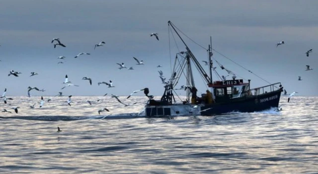 Fishing boat surrounded by seagulls