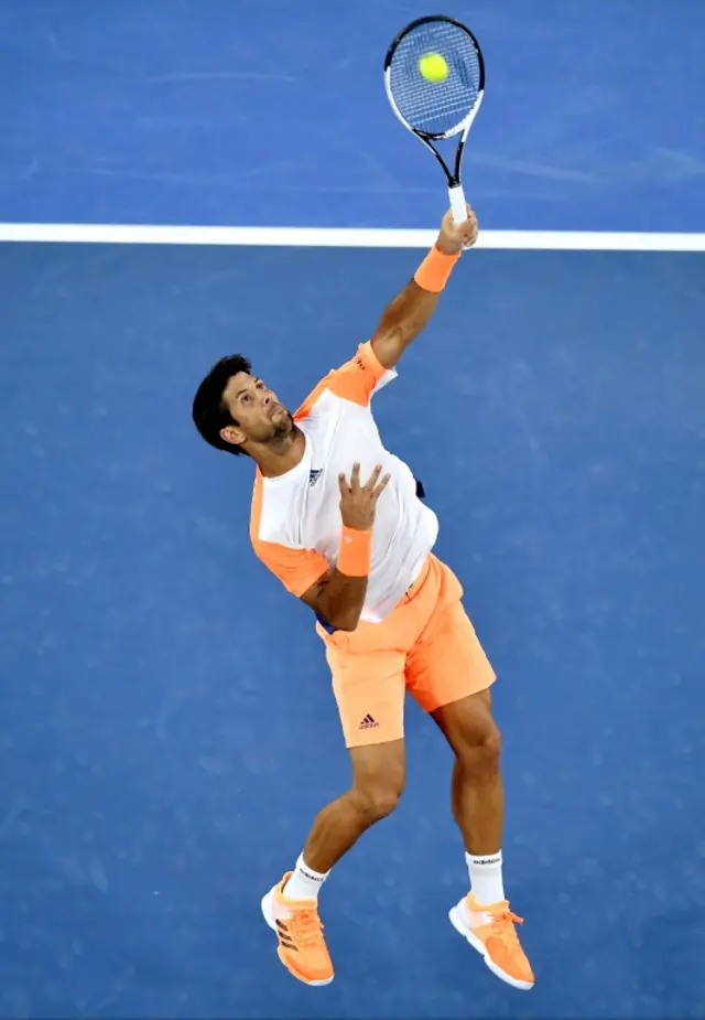 Verdasco