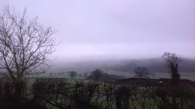 Fog over fields