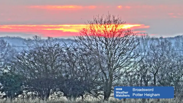 Sun rise over misty trees