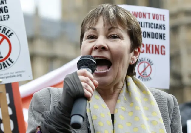 Green Party co-leader Caroline Lucas