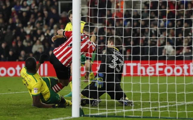 Southampton's Shane Long scores