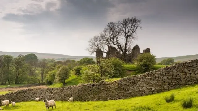 Yorkshire Dales