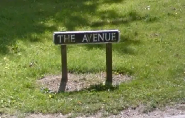 Roadsign for The Avenue, on grass verge