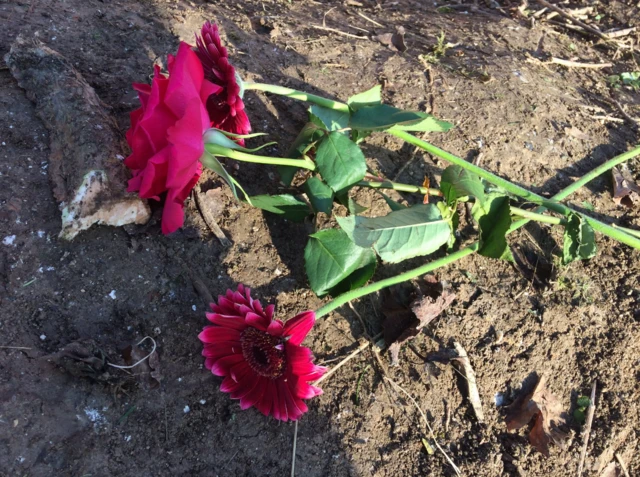 Flowers at scene of Royston fire engine crash