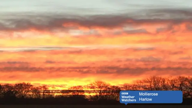 Harlow sunrise