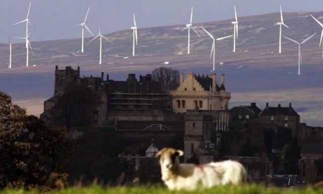 Wind farm behind sheep in field