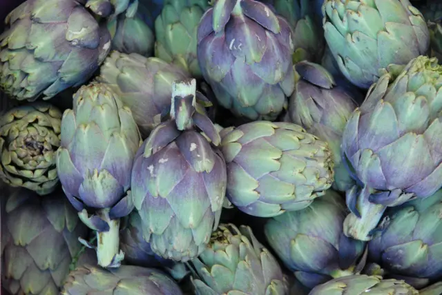 Artichoke