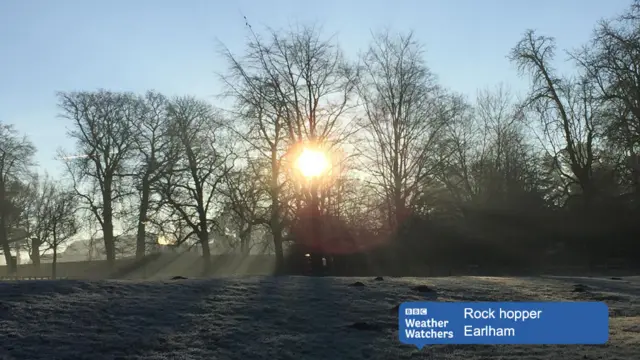 Sun peeping through trees, over frosty grassland