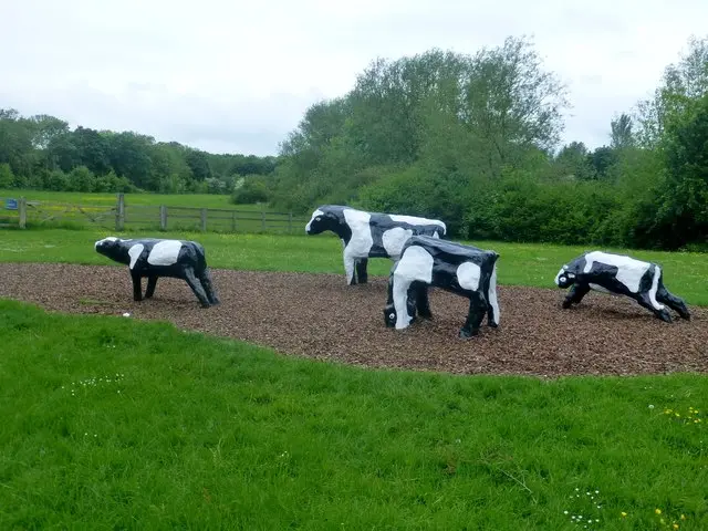 Concrete cows