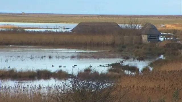 Flooded red beds, showing hides