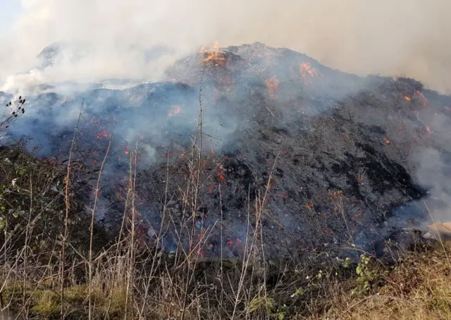 A pile of ash and burning embers