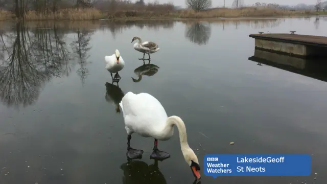 Frozen lake in St Neots