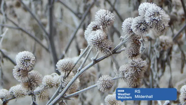 Frost in Mildenhall