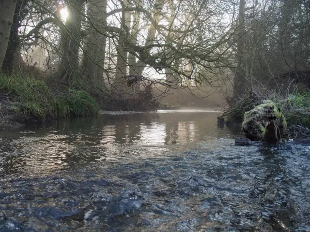 Paddling in the River Arrow