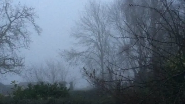 Fog in Whatfield