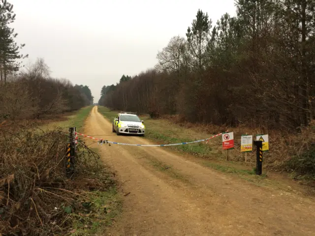 Police tape in the King's Forest