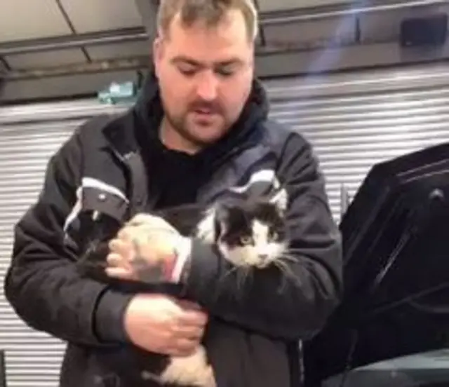 The cat in one of her rescuers' arms