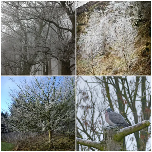 Atmospheric pictures of Yorkshire