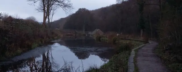 Pond at Bingham Park