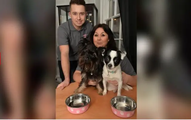 Doggie cafe