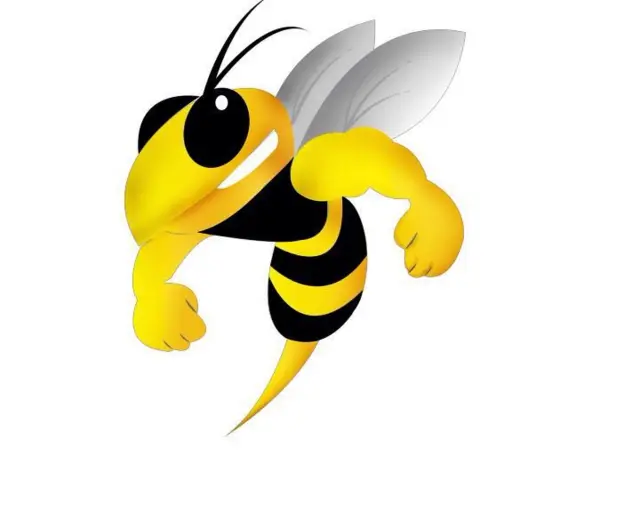 Coventry Bees logo