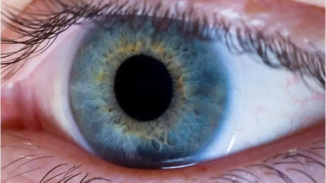 Cornea transplants can restore sight in recipients